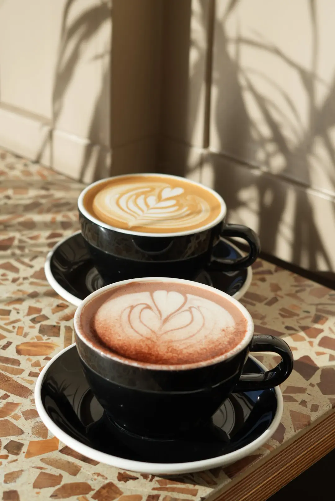 Flat white and hot chocolate with palm shadow